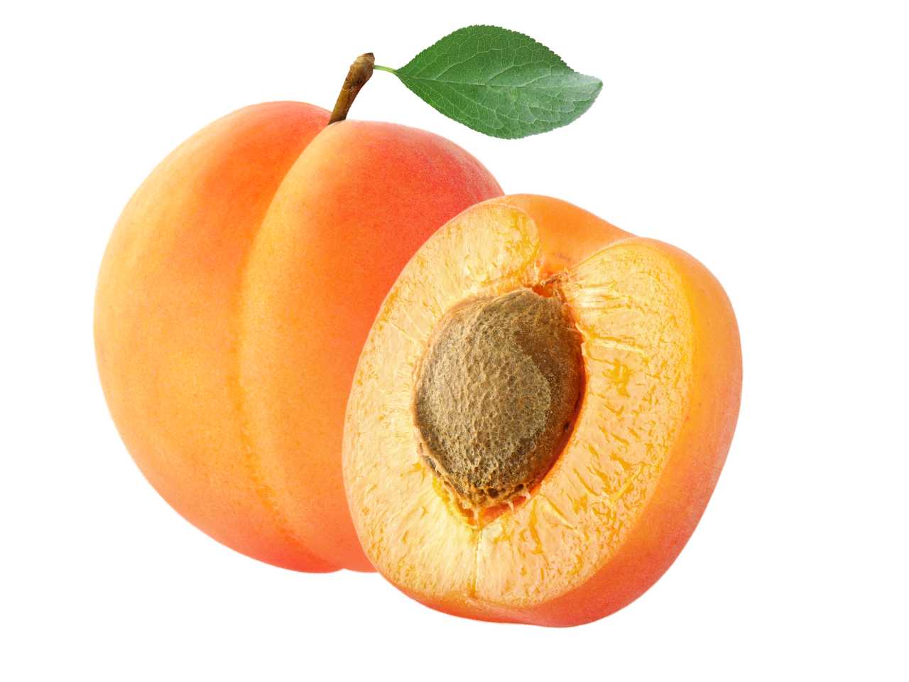 Apricot in Tamil