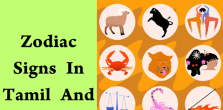 zodiac signs in tamil